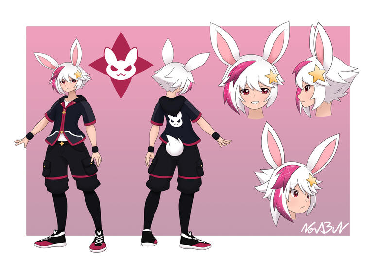 Nova Reference Sheet